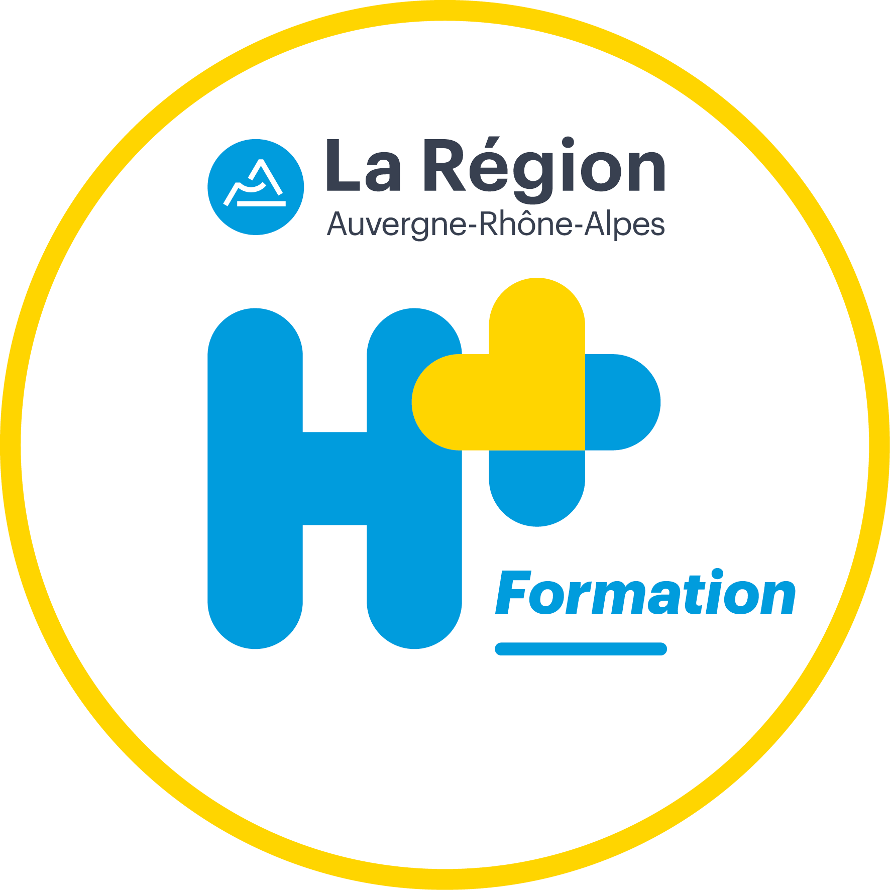 Logo-Handicap-H-formation-VF